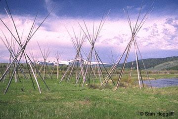 A row of teepees in a grassy field with mountains in the background.