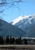 A snowy mountain in the distance with trees in the foreground.