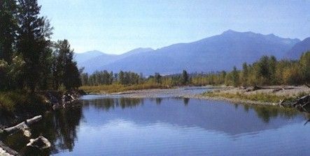 A river with mountains in the background and trees on the shore