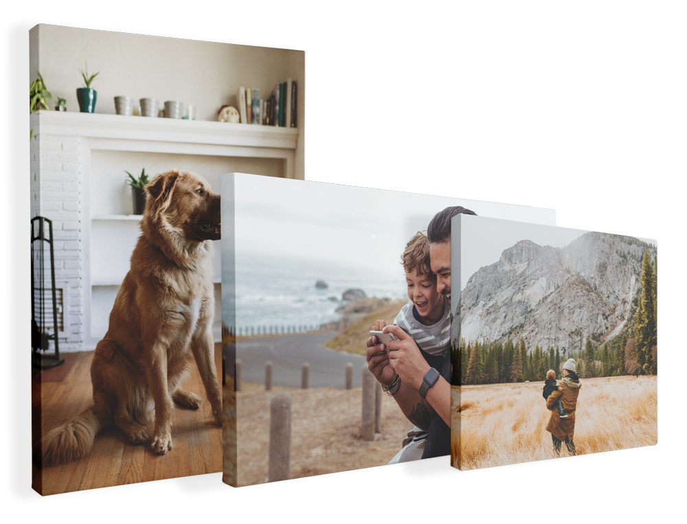 Three photo prints: a brown dog indoors, a person smiling by the beach, and a hiker near a rocky mountain.