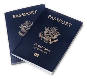 Passport photos image