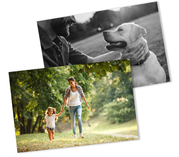 Collage of a person petting a dog and a parent walking with a child in a sunny park
