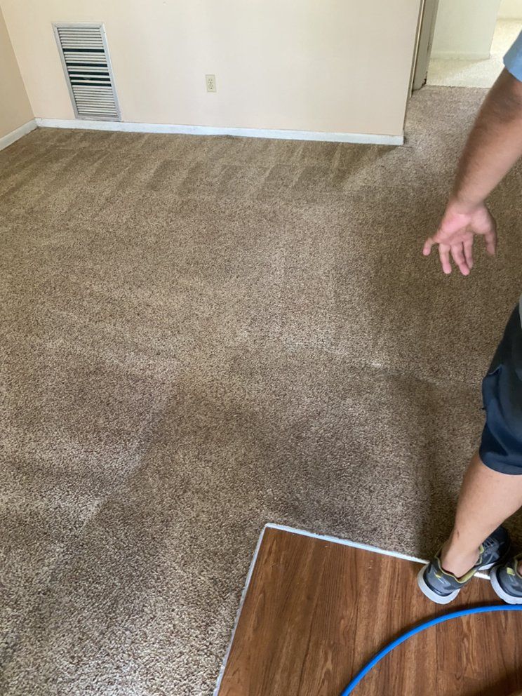 A person is standing on a carpeted floor in a living room.