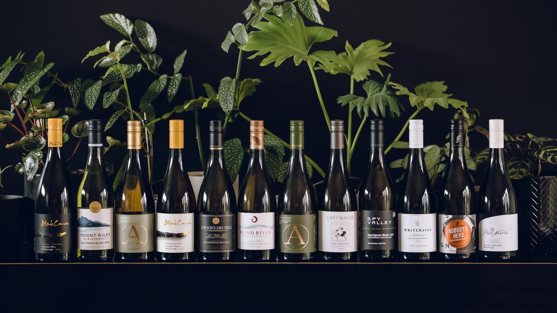 2022 AMW Collection