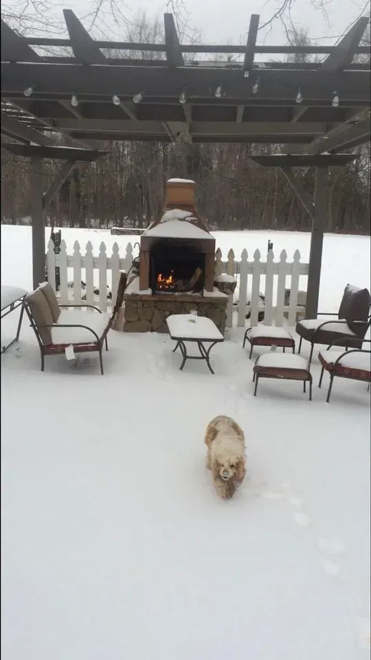 Dog walking in snow-covered backyard with outdoor fireplace, seating, and pergola.