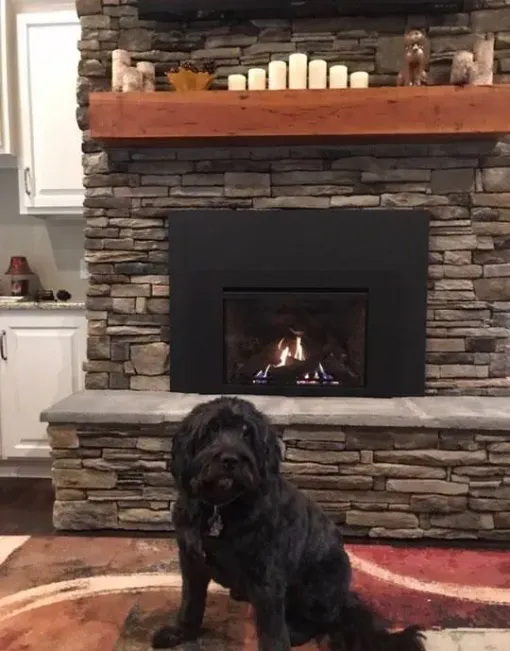 Dog sitting in front of a stone fireplace with a burning fire, a wooden mantel, and candles.
