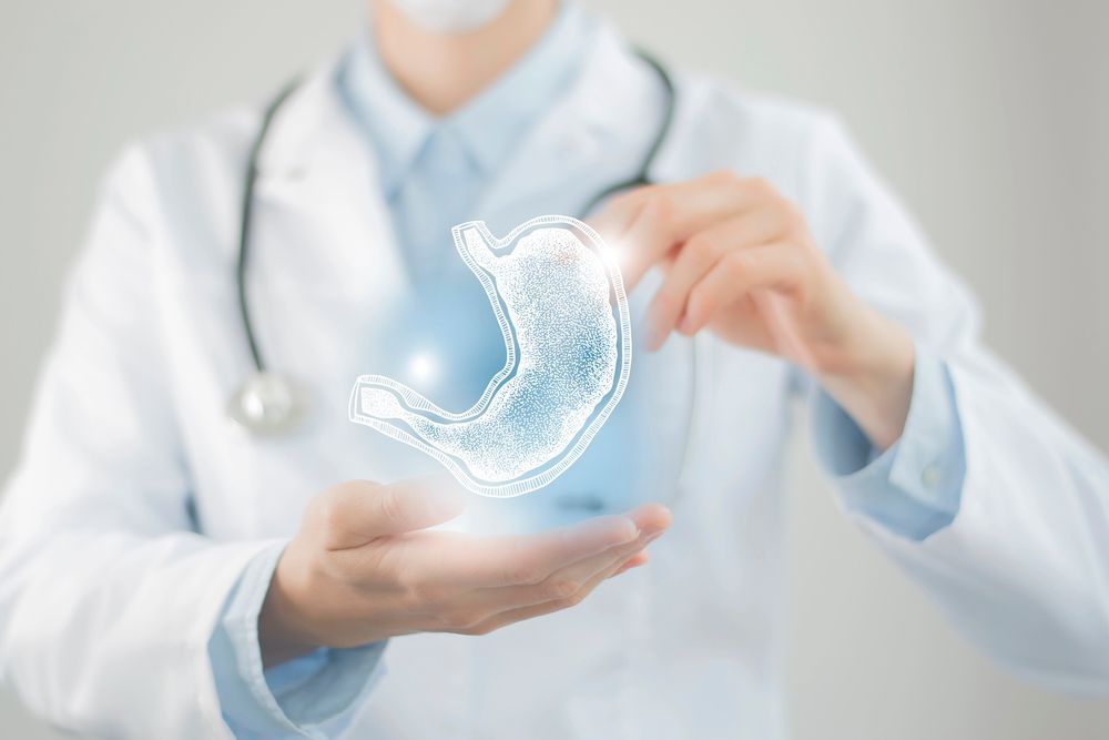 Un médico sostiene un estómago en sus manos.