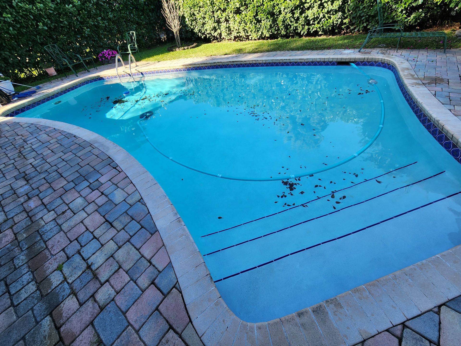 Pool with blue water, surrounded by stone patio and greenery.