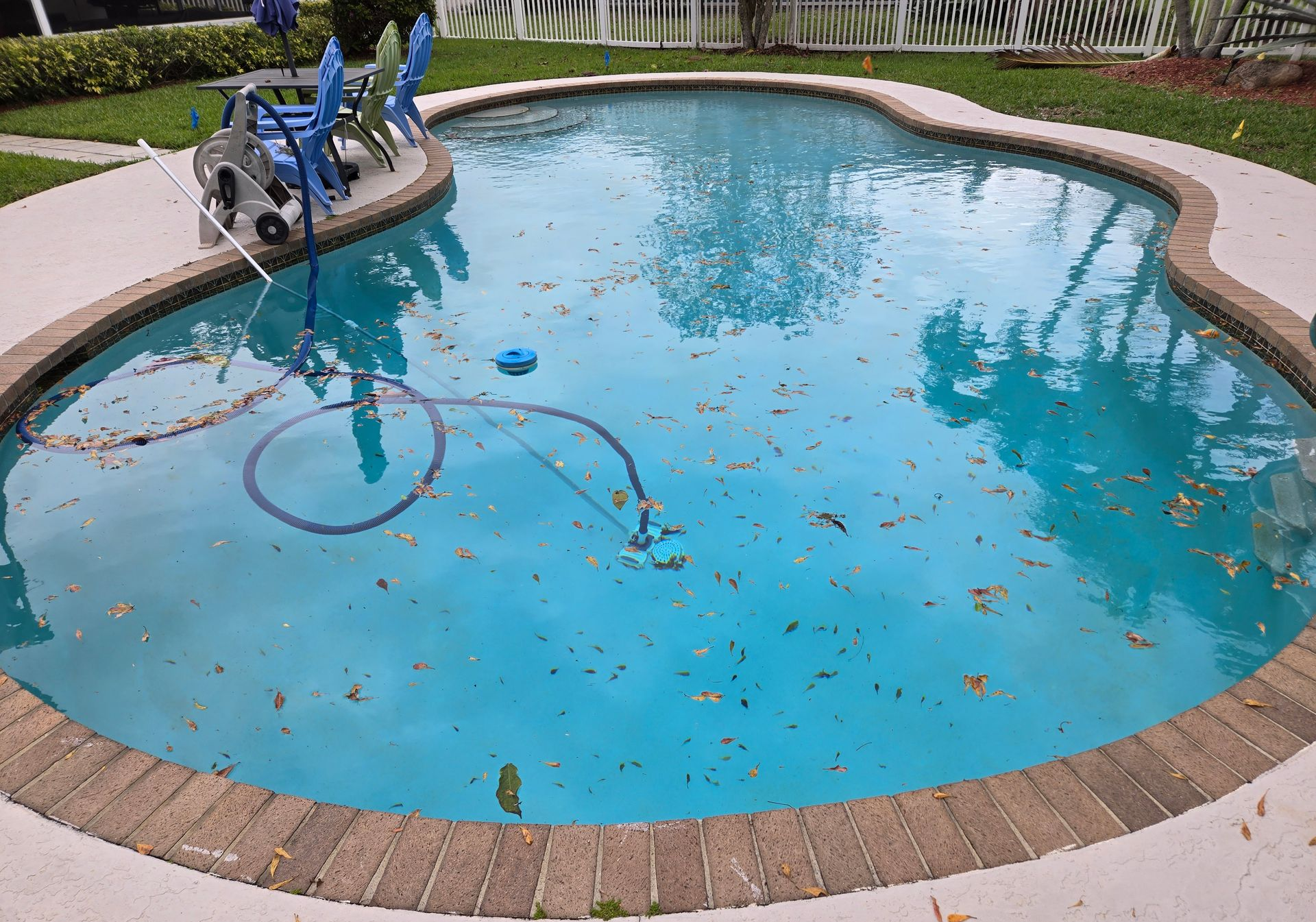 Swimming pool with blue water and brick border, surrounded by grass. Debris floats on the water's surface.
