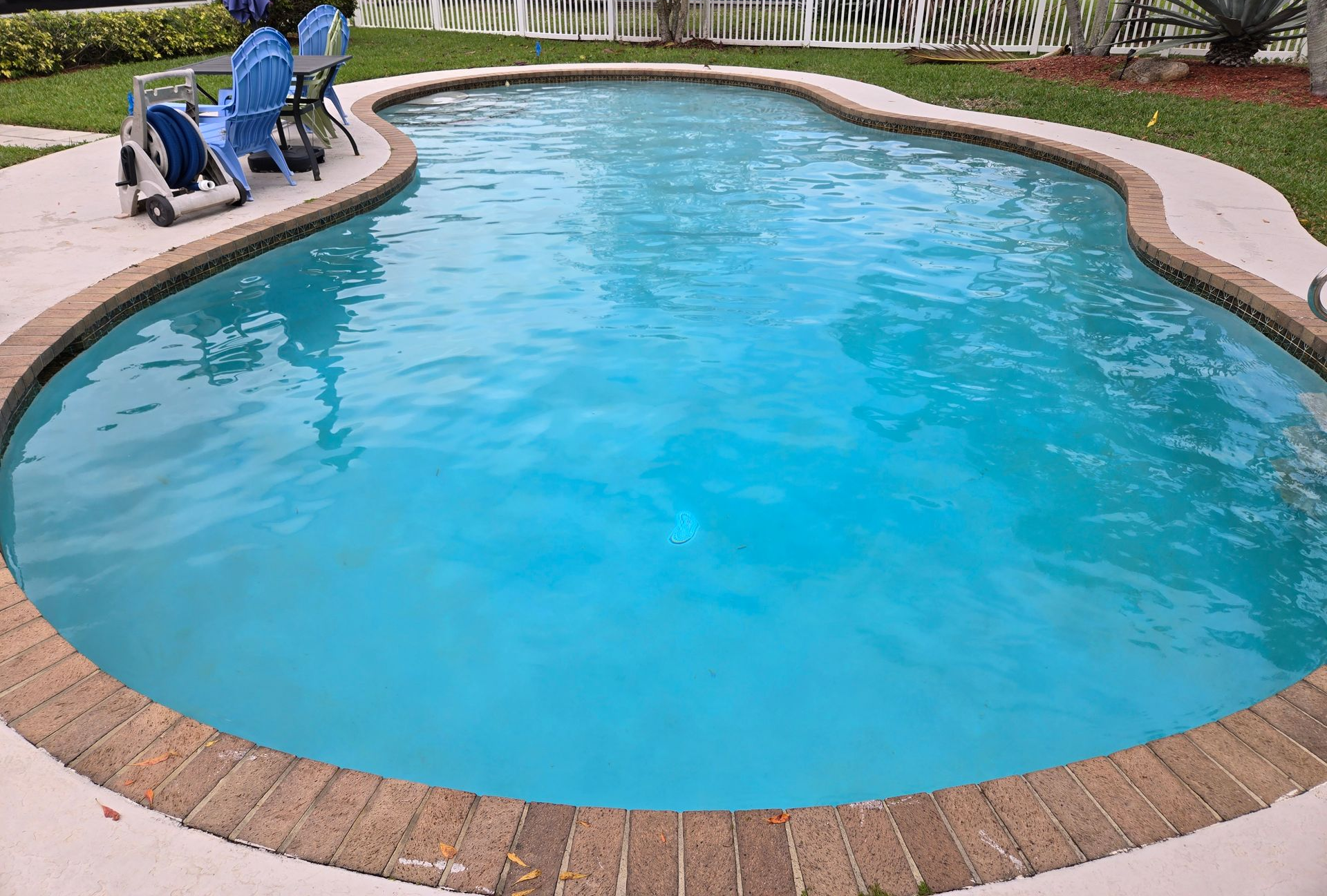 A kidney-shaped swimming pool filled with blue water surrounded by brick and concrete. Two blue chairs rest nearby.