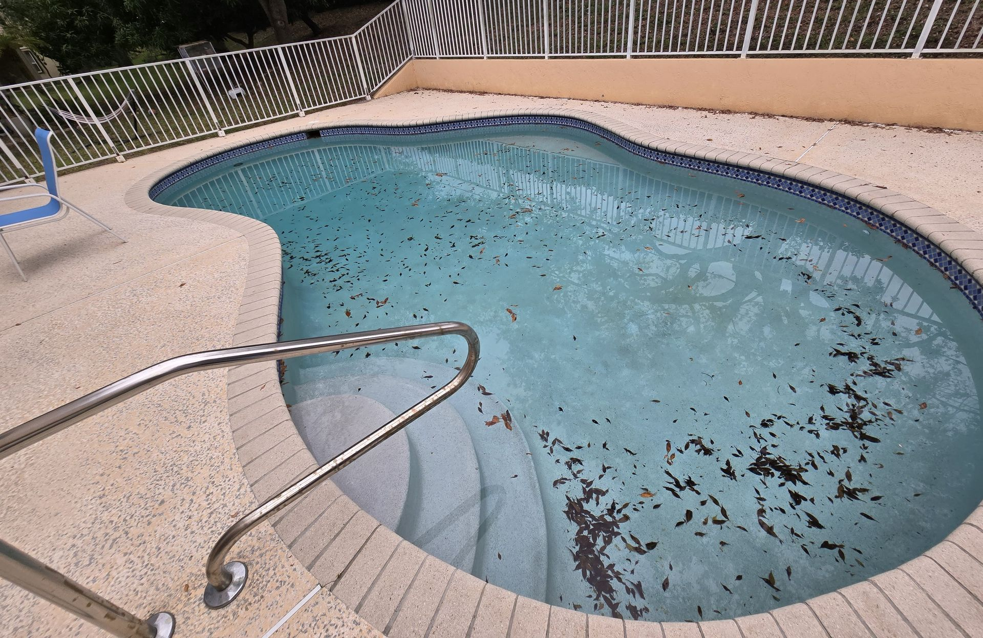 Pool filled with leaves; surrounded by concrete and white fence.