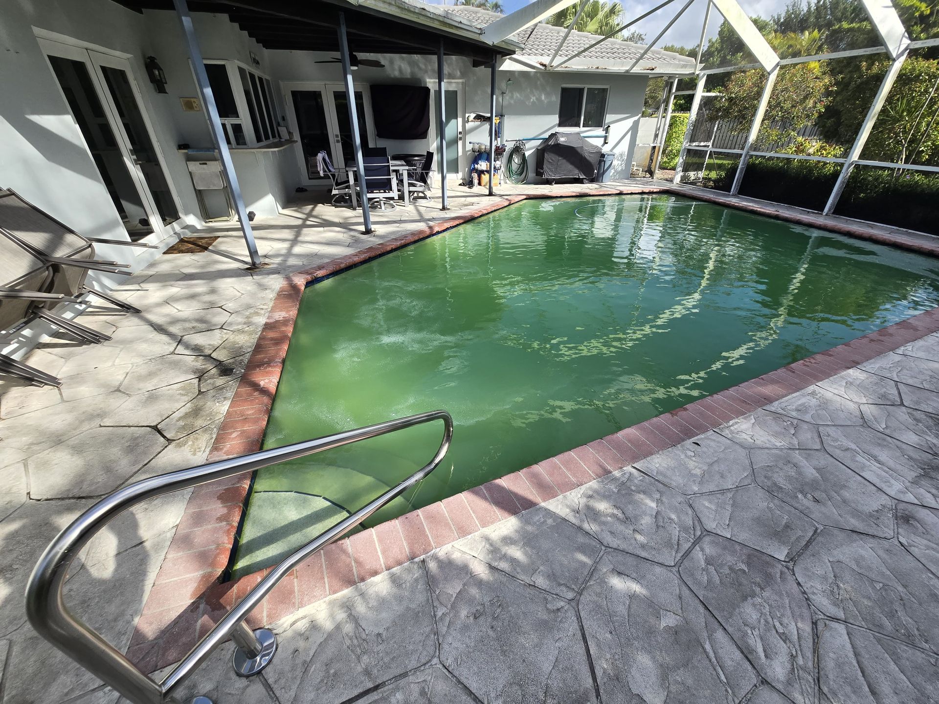Green algae-filled pool in a backyard, surrounded by a brick border and stone patio.