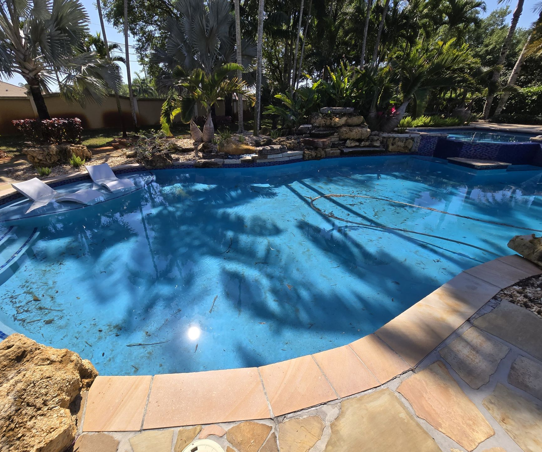 Blue swimming pool surrounded by a stone patio. Palm tree shadows on the water, visible foliage and trees in the background.
