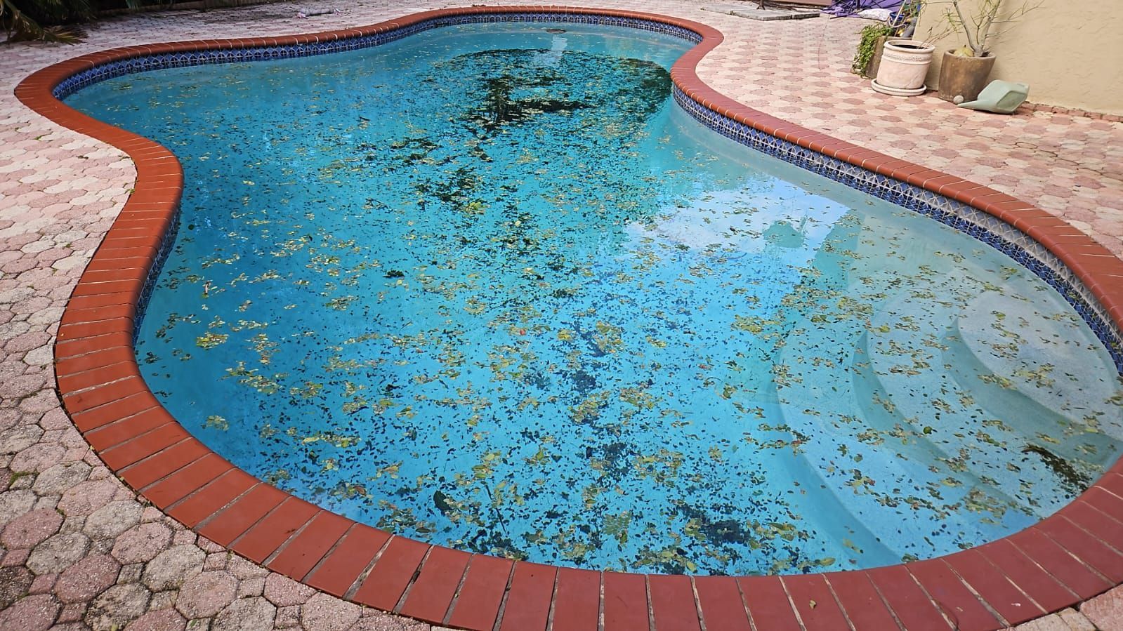 Swimming pool filled with coins, brick border.