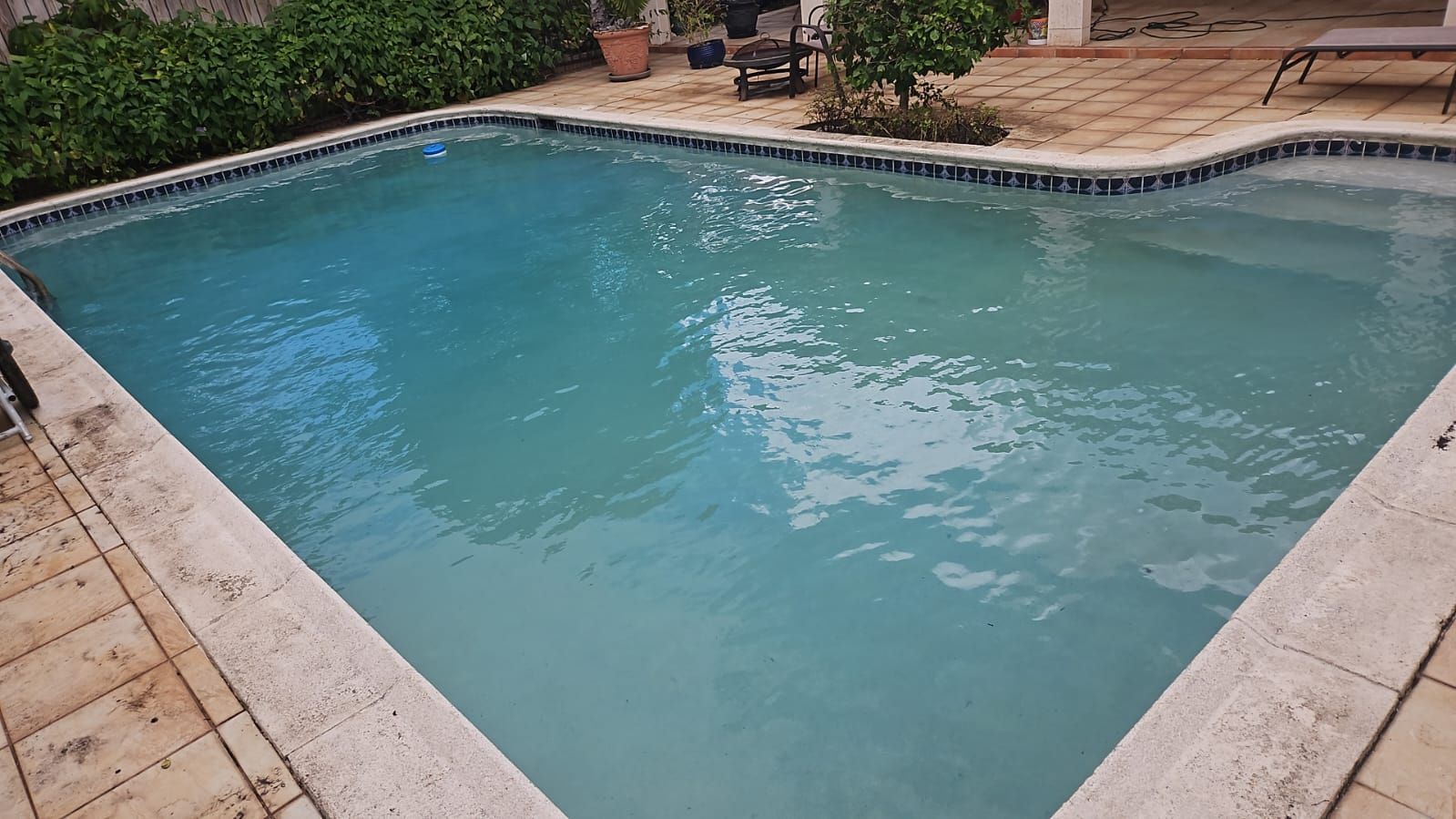 A rectangular swimming pool with turquoise water surrounded by light-colored brick, plants, and the corner of a building.
