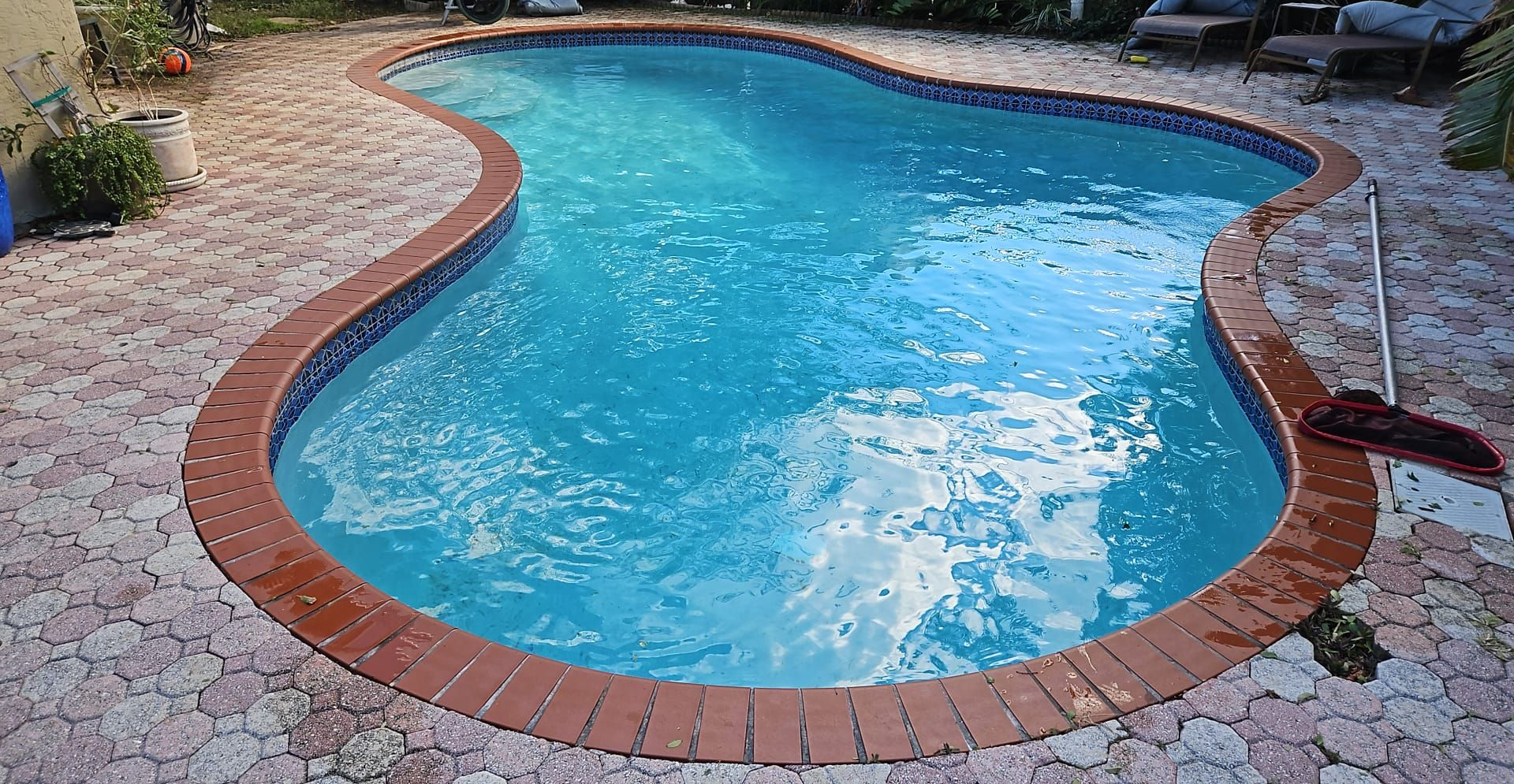 A freeform swimming pool surrounded by brickwork, with a brown edge, filled with blue water.