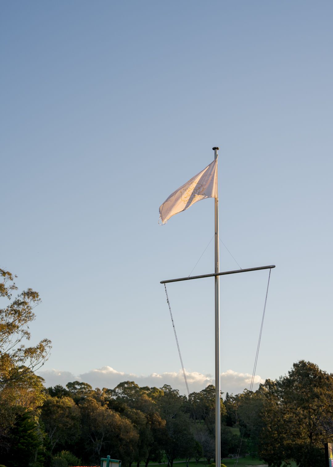White flag on a pole against a clear sky above trees at sunset