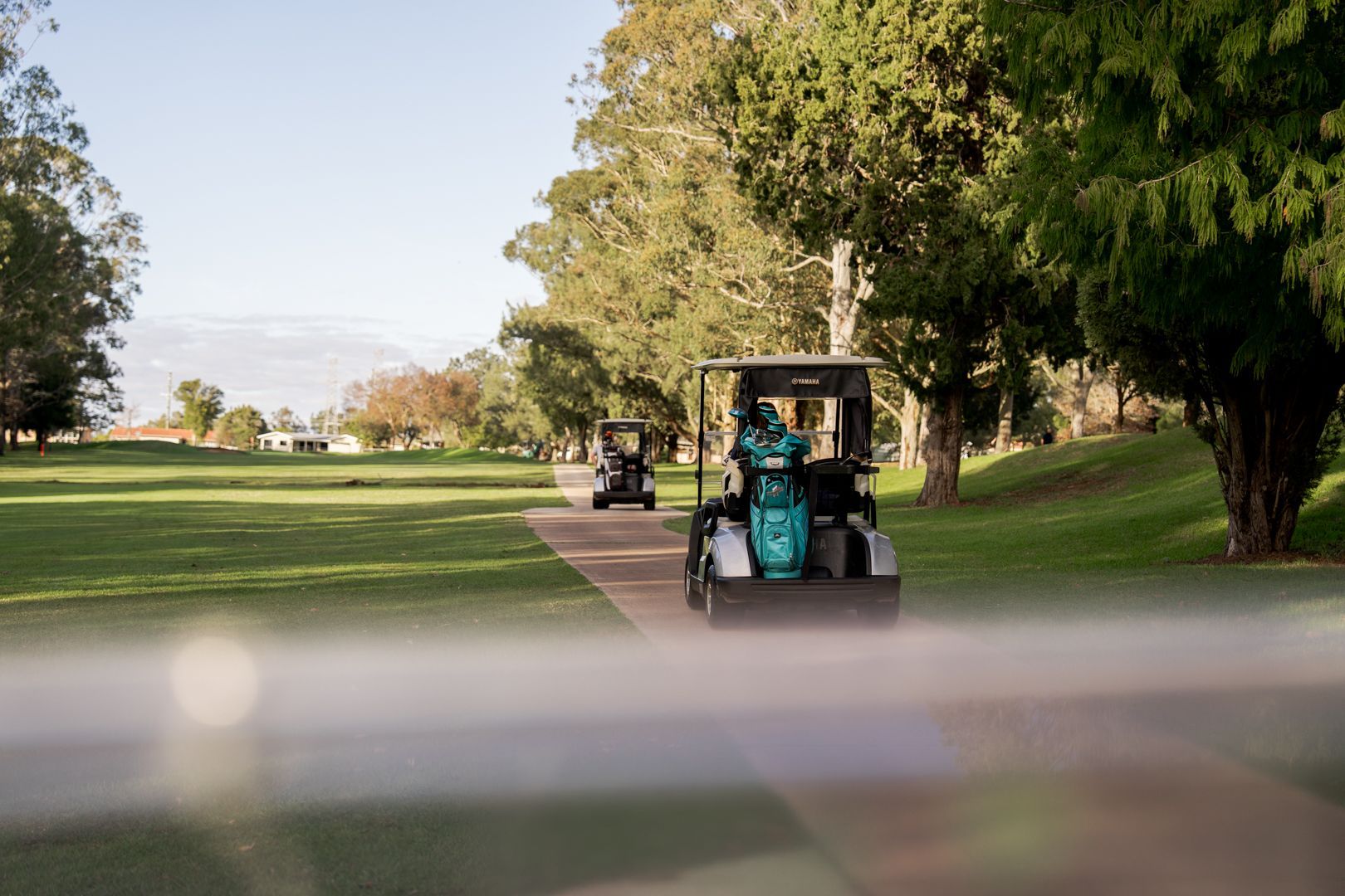 Golf cart on a tree-lined path in a sunny park or golf course