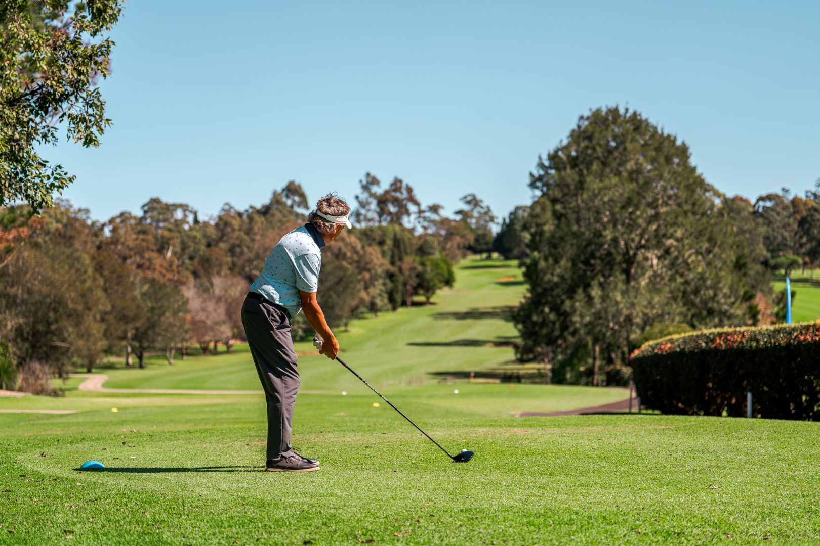Golfer in blue shirt lining up a shot on a green golf course under clear sky