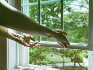 Windows - Ankeny, IA - DeWild Construction LLC