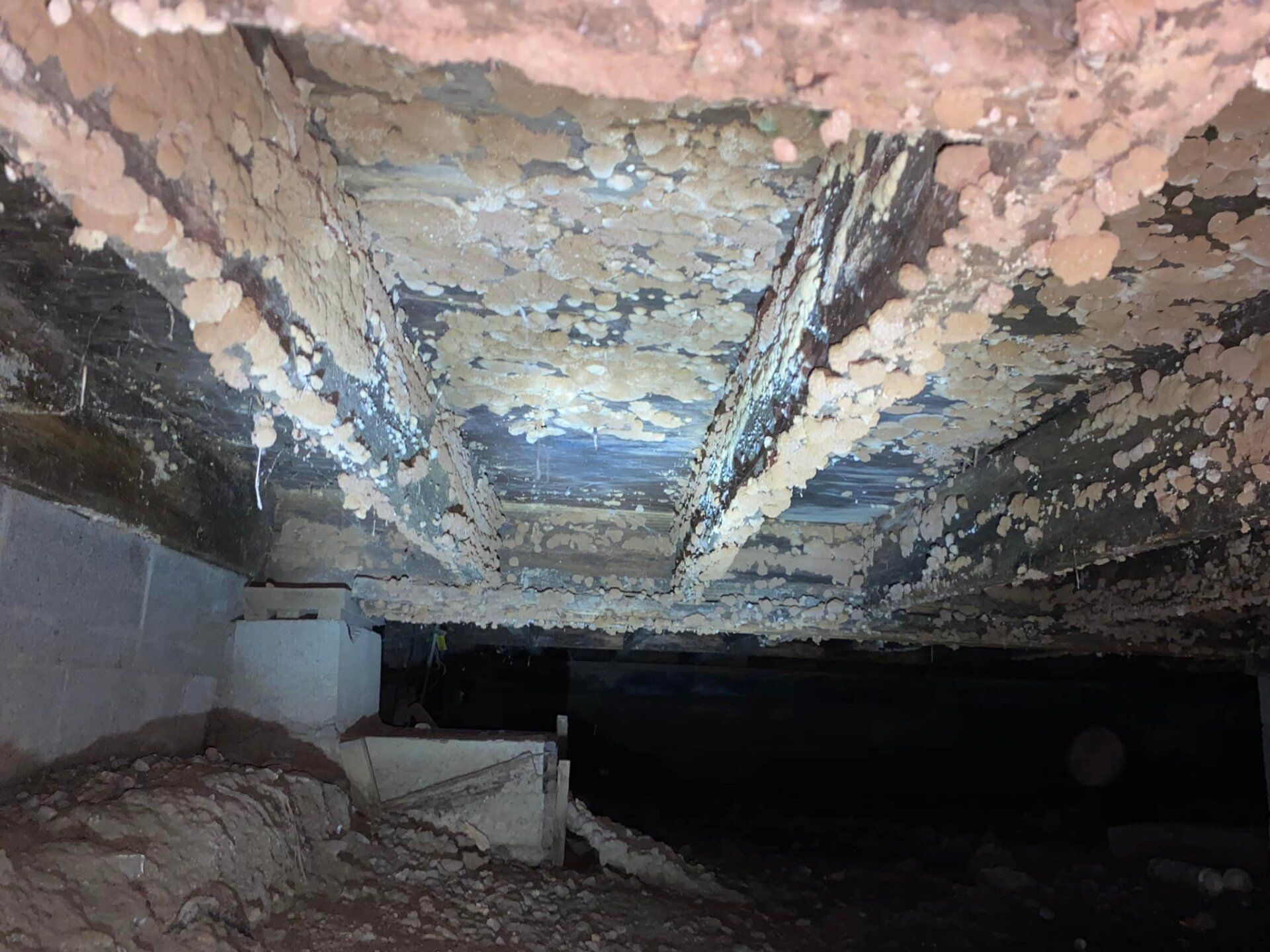 best home inspector in nashville