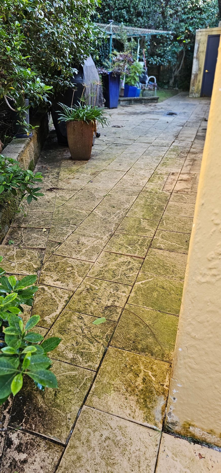 courtyard tiles before and after washing