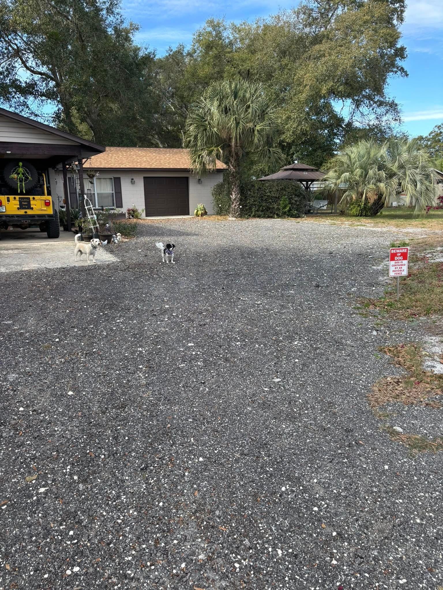 A gravel driveway leads toward a house with a garage, featuring two small dogs in the yard and a yellow vehicle nearby.