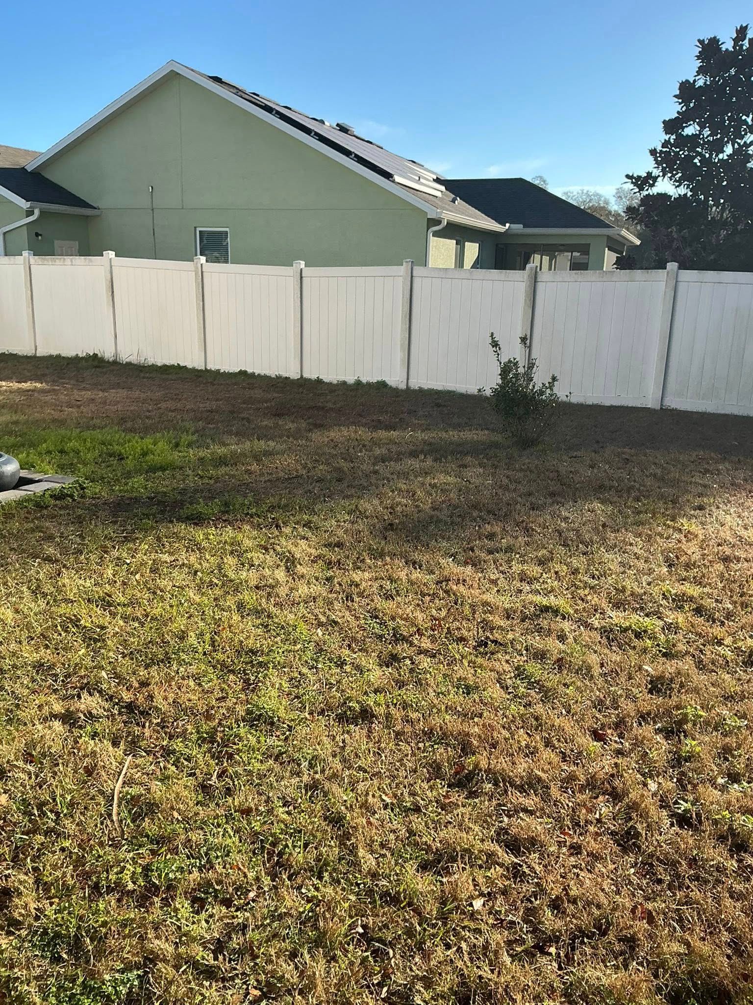 A view of a patchy lawn in front of a tall white vinyl fence and a light green house against a clear blue sky.
