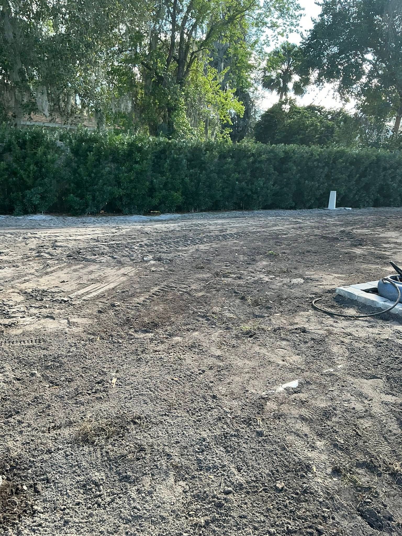 A view of a dry, cleared dirt lot with tire tracks in the foreground and a dense green hedge lining the back.
