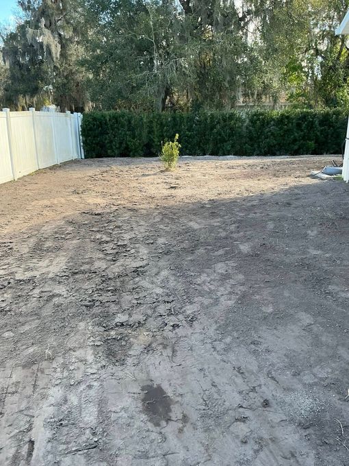 A sparse backyard with bare soil, a small central sapling, and a white fence bordering a green hedge in the background.