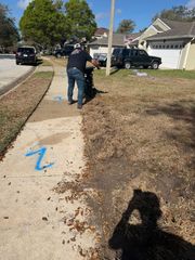 A person uses a walk-behind edger to trim grass along a concrete sidewalk marked with blue spray-painted symbols.