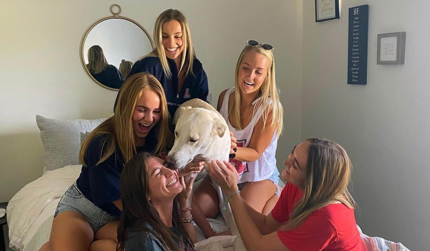 Ask us about our Pet Policy! Five female residents laugh while petting a fluffy white dog in a furnished bedroom at The Seasons.