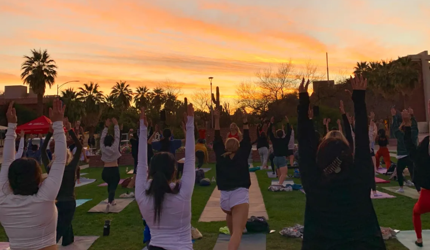 Large group of people practicing yoga   on the University of Arizona Mall in the grass during a sunset.