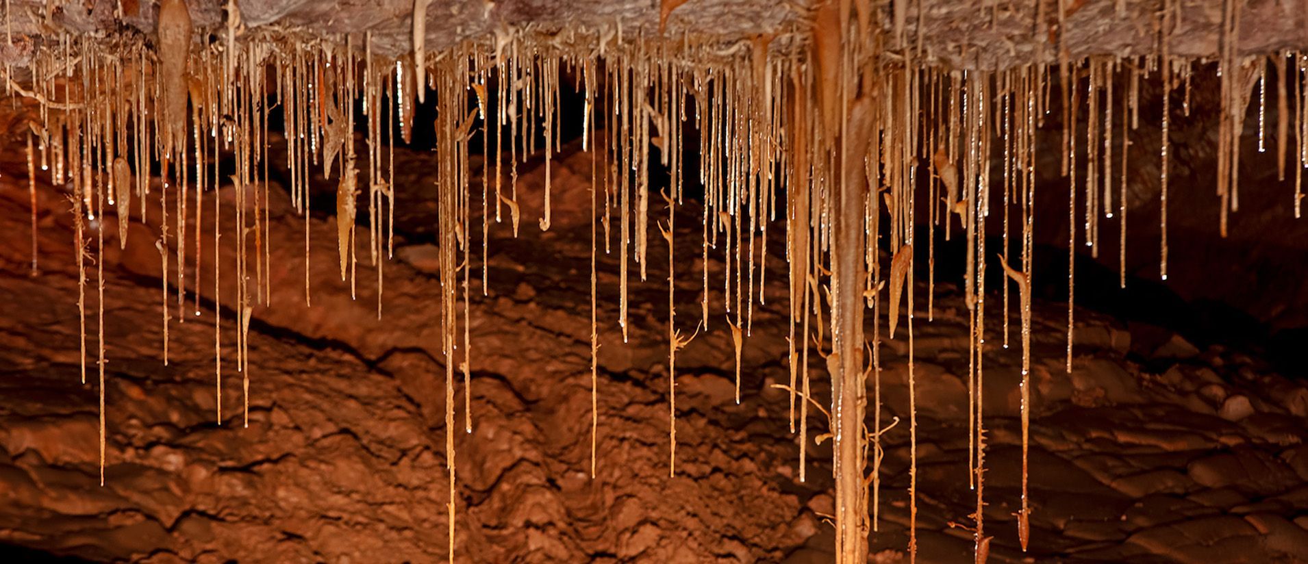 A view of speleothems in Kartchner Caverns state park.