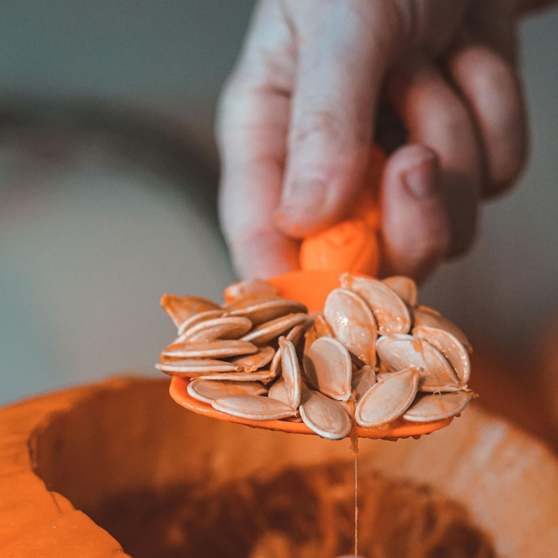 Pumpkin seeds being scooped out of a pumpkin by a hand.