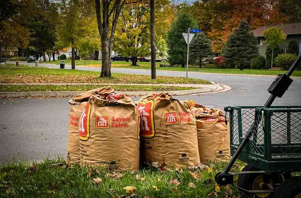 Close-up photo of bags of yard waste at the side of a street ready for pickup in St. John's, Newfoundland