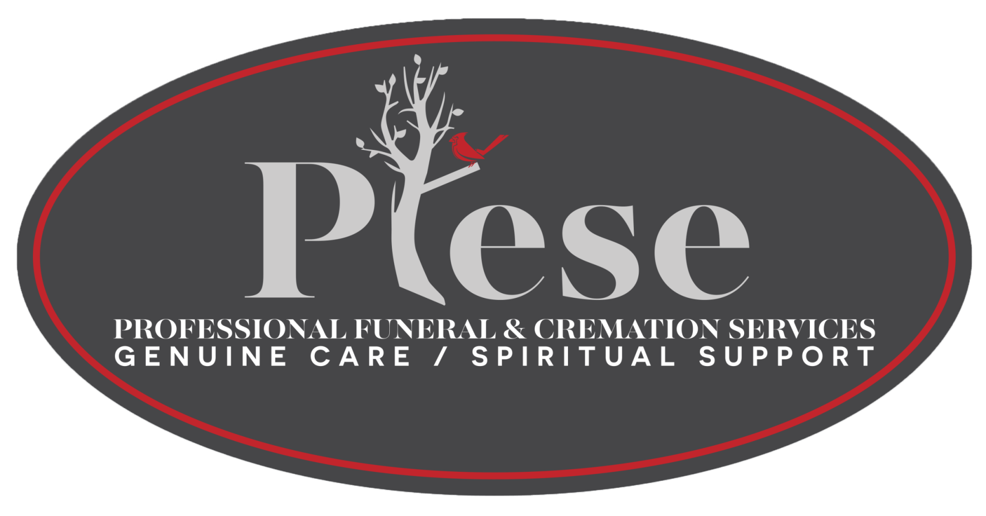 logo-image