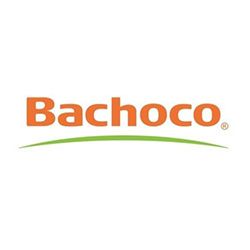 Bachoco