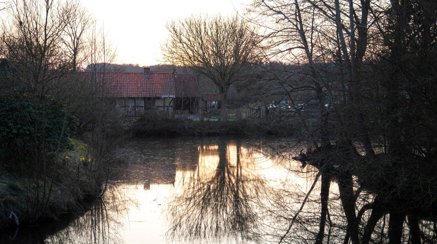 Flood Restoration Timelines: What to Expect from Day 1 to Day 7