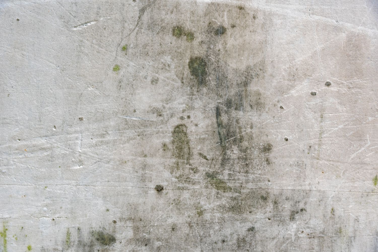 Do I Really Need Mold Testing Before Remediation? Here’s What to Consider
Company: Restoration 1 of Lakeshore | Servicing Zeeland, MI