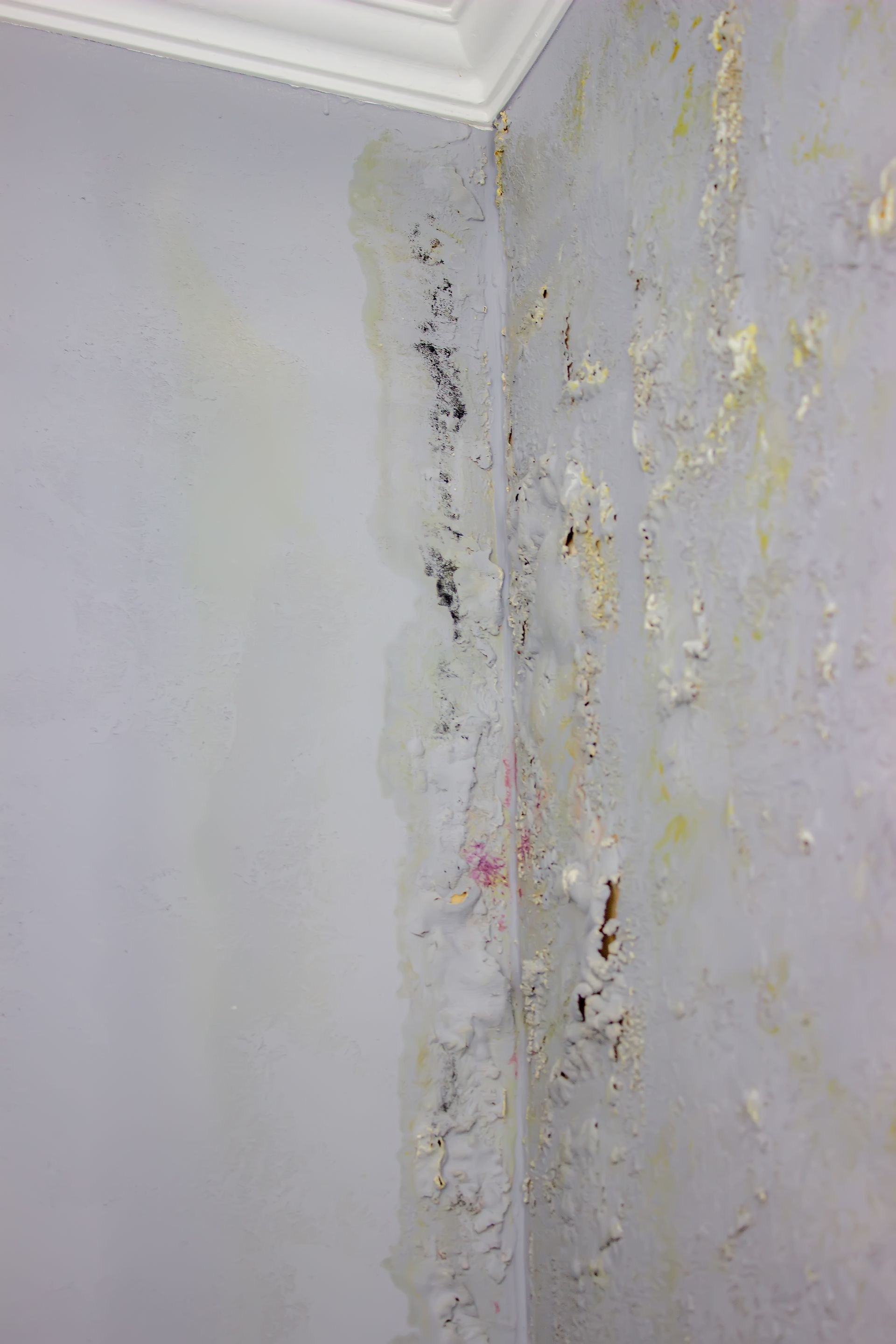 Common Causes of Water Damage in West Michigan Homes — And How to Prevent Costly Repairs