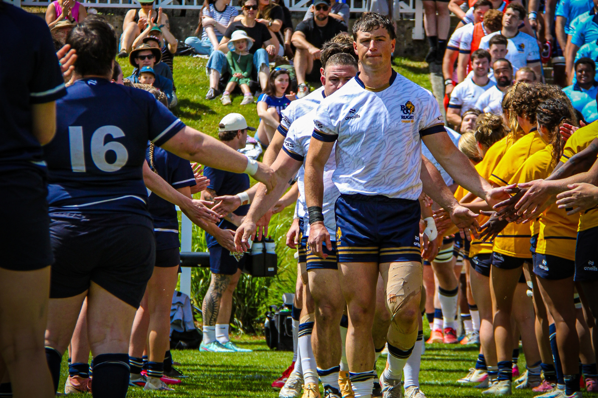 Rugby players line up for a handshake on a sunny field, with spectators cheering in the background