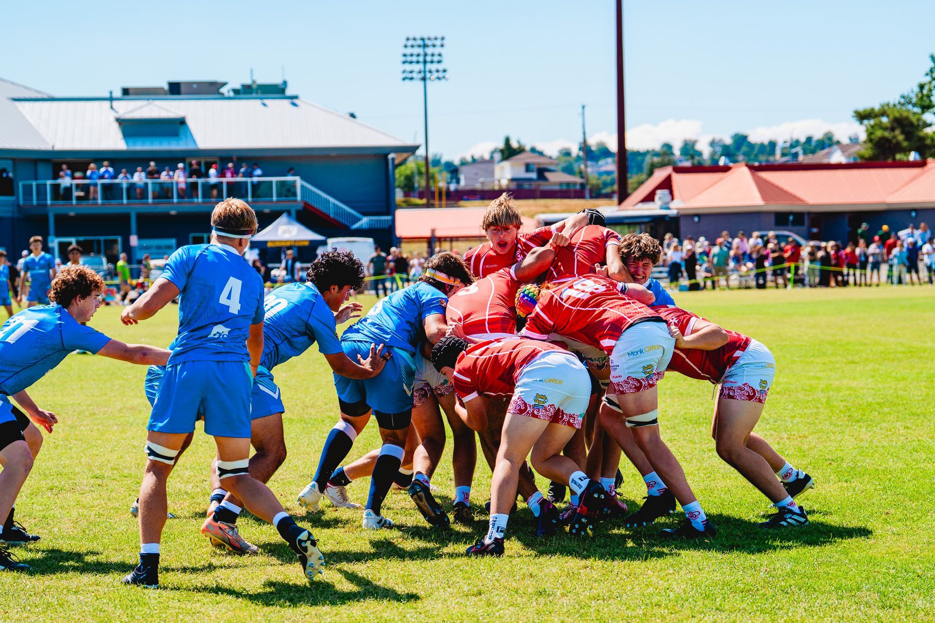 Rugby players in blue and red scrum on a grassy field during a match, with spectators and stands in the background
