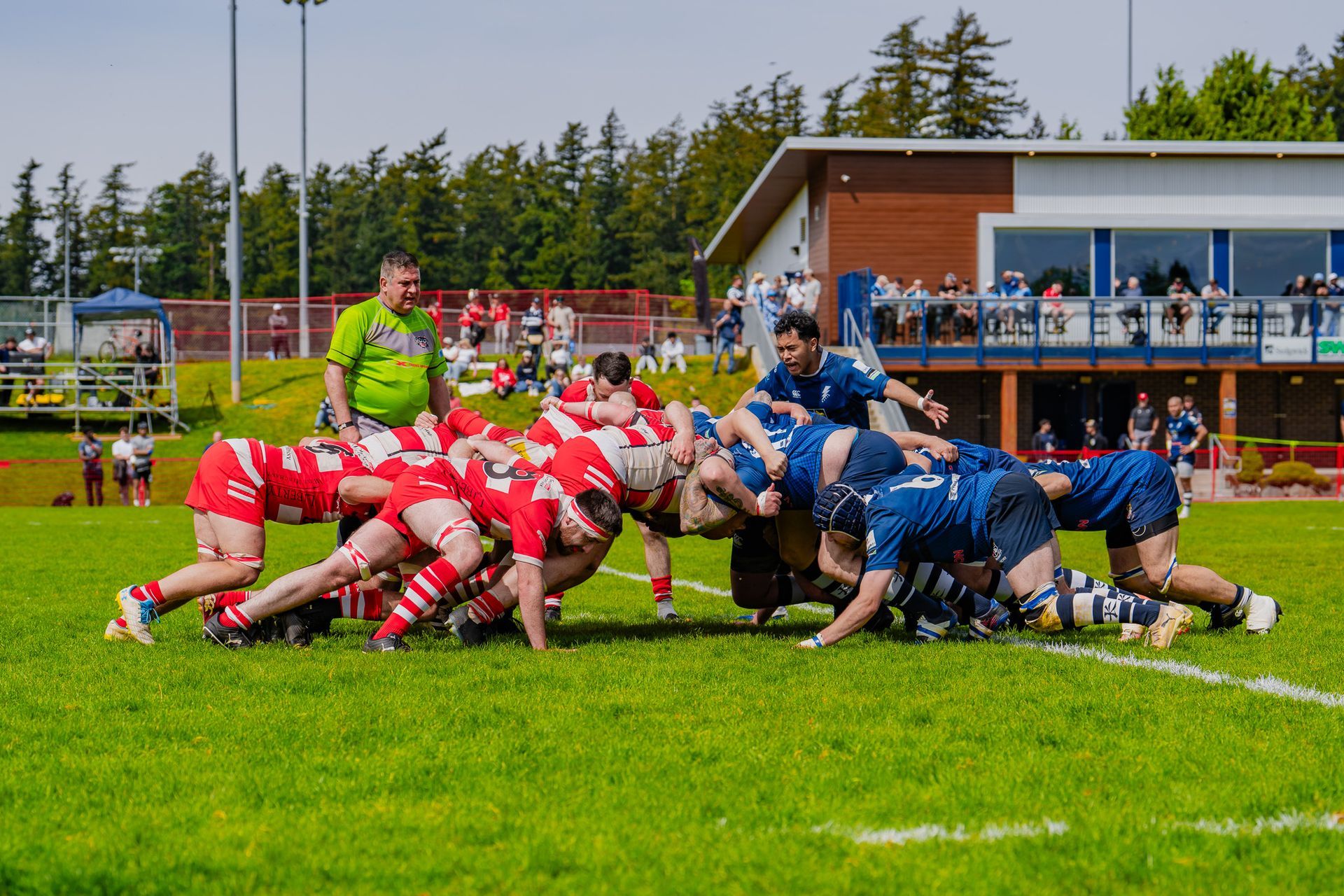 Red and blue rugby teams packed in a scrum on a grassy field near the sideline