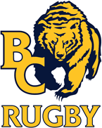 BC Rugby logo with yellow tiger head and blue-and-gold lettering