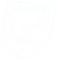 White NFL shield logo with a stylized football and stars, outlined faintly on a light background