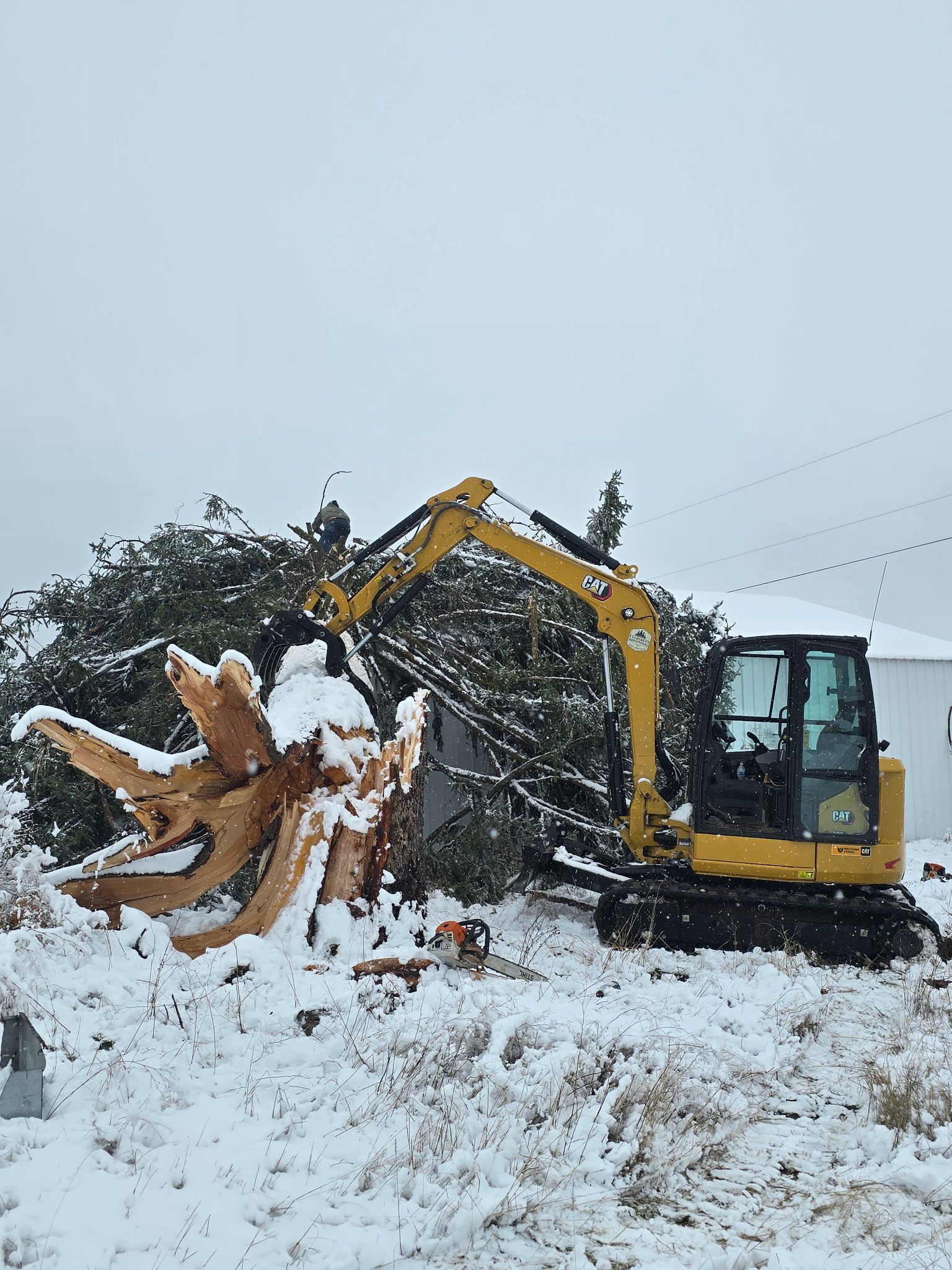 A yellow excavator uses a mechanical thumb to lift a large tree root ball in a snow-covered field.