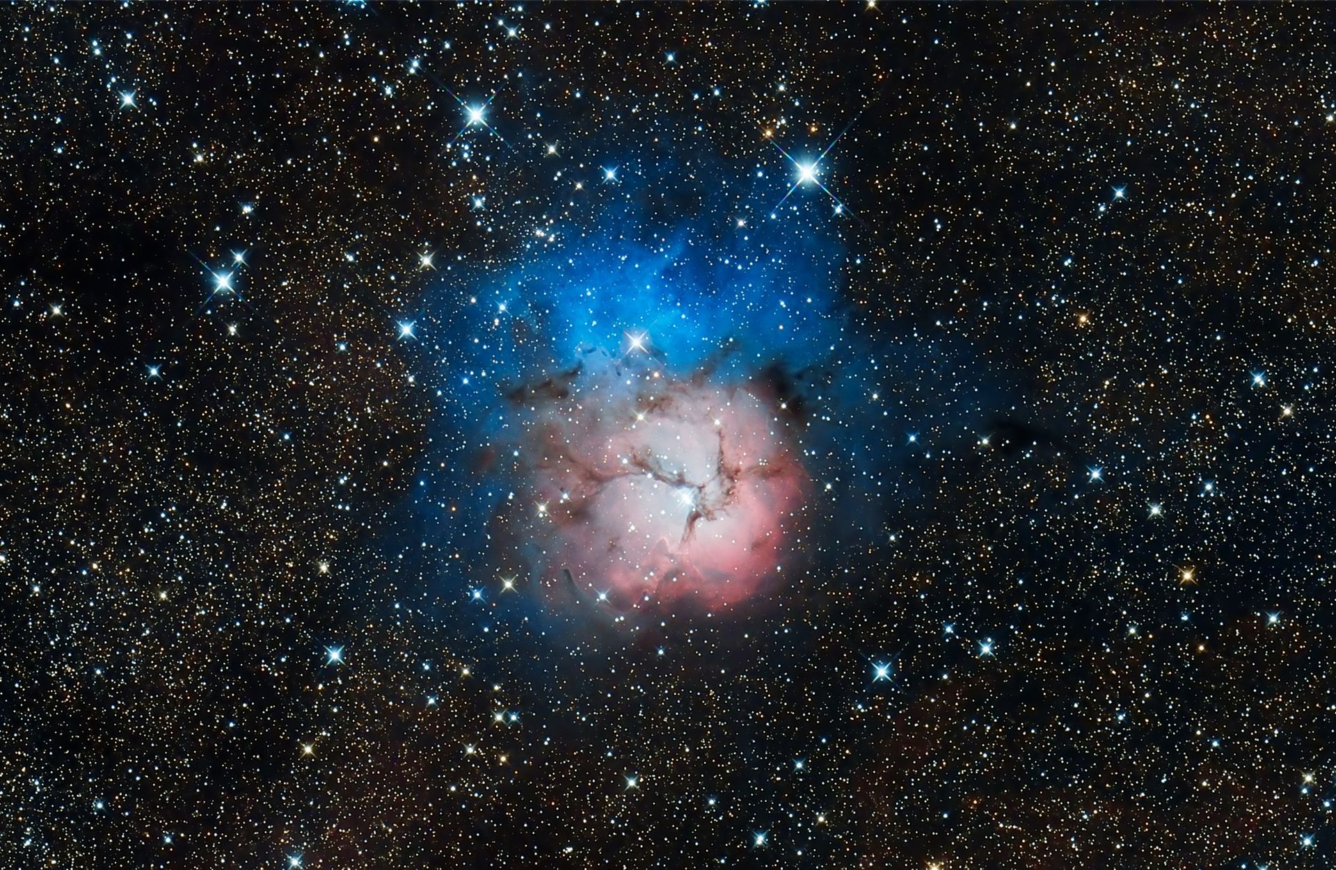 Pink and blue nebula amid a dense star field in space