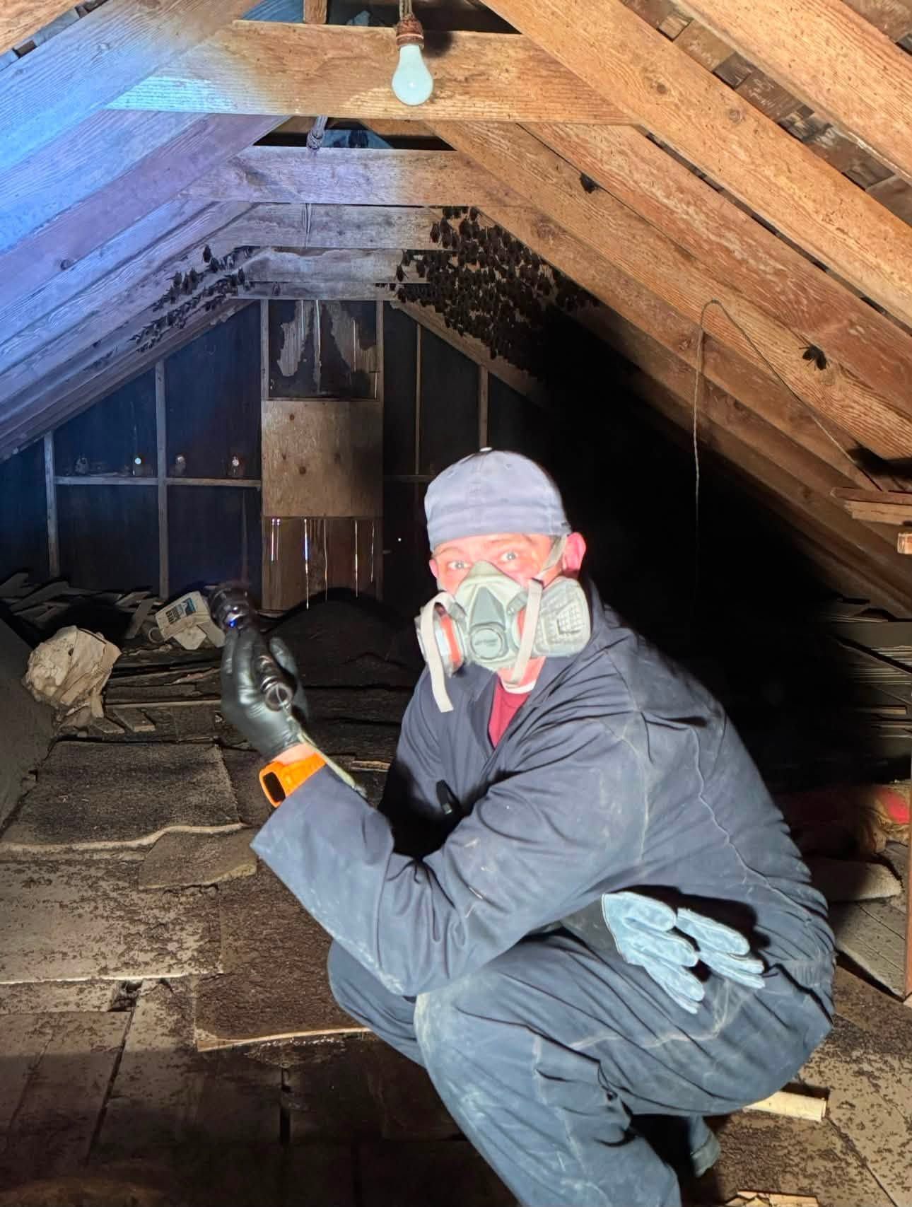 Person crouching in a dusty attic, wearing gloves, a head covering, and a respirator mask.