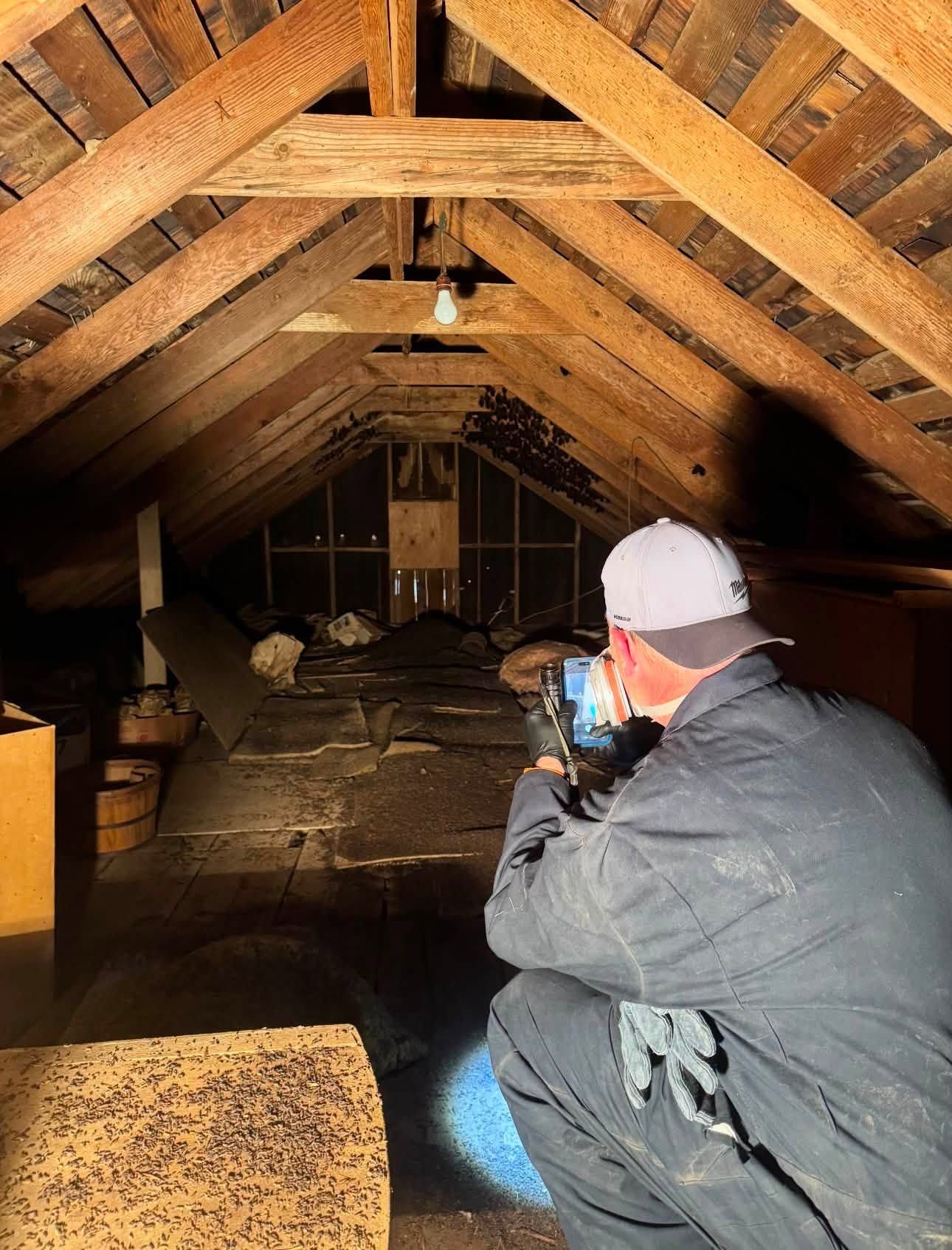 Person crouches in an attic with a flashlight, inspecting the wooden rafters and dark floor.